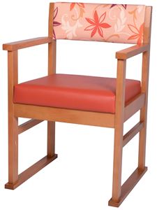 Apollo Carver chair with skis (X-Grade)